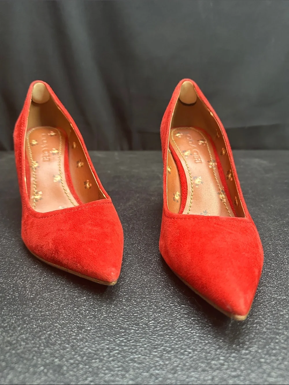 Coach Classic lipstick Red Suede Pointed-Toe Pumps